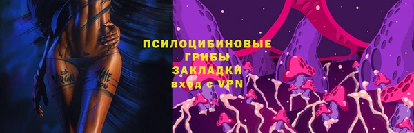 ГАЛЛЮЦИНОГЕННЫЕ ГРИБЫ Белокуриха