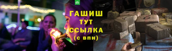 ГАЛЛЮЦИНОГЕННЫЕ ГРИБЫ Белокуриха