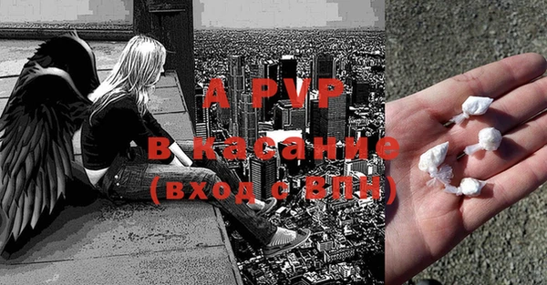 ГАЛЛЮЦИНОГЕННЫЕ ГРИБЫ Белокуриха