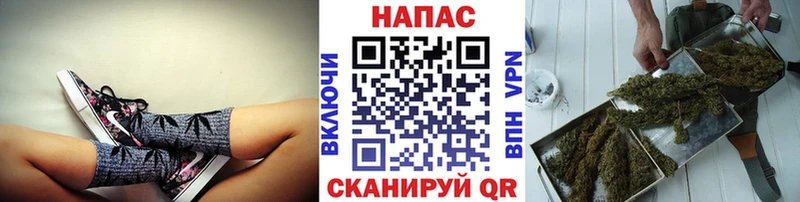 Бошки марихуана THC 21%  Первомайск 